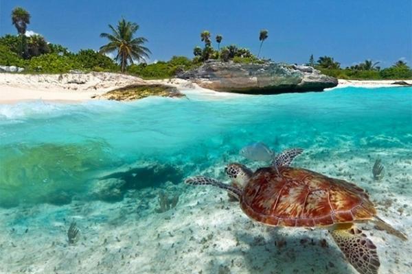 Апарт отель Kuwa Zanzibar Кивенгва Экстерьер фото
